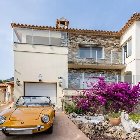 Modern In With Swimming Pool
