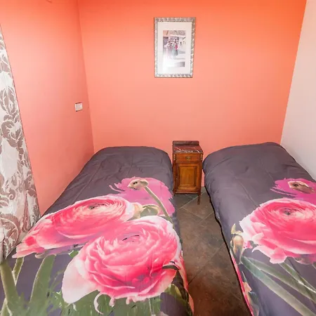 Modern In With Swimming Pool Roses